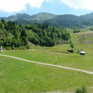 Epicea Front De Neige Montferrier